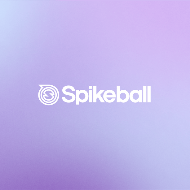 Embed - Testimonial - Spikeball